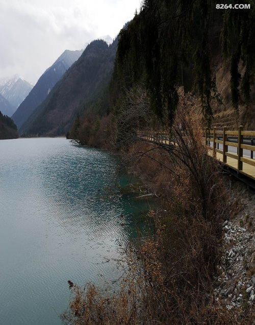 九寨沟树正沟游览体验与景区管理观察