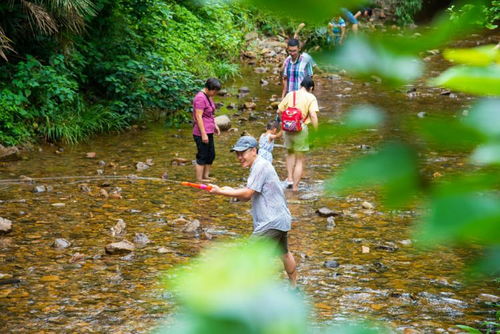 景区运营推广的隐形盲区 被忽视的游览过程管理