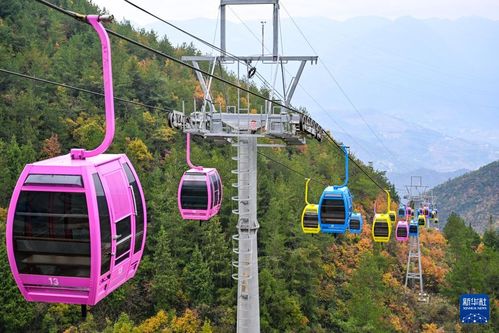 重庆巫山初冬美景引客来，旅行社服务网点积极招徕