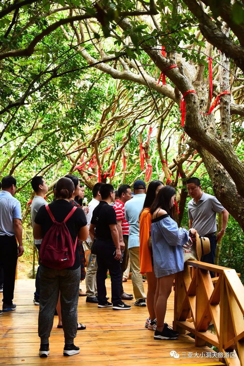 上海春秋总部高层率各地分部管理层考察大小洞天景区 共商全域旅游产品推广与景区管理新思路